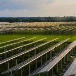 Copertina articolo Agrivoltaico