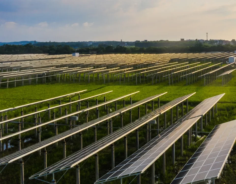 Copertina articolo Agrivoltaico