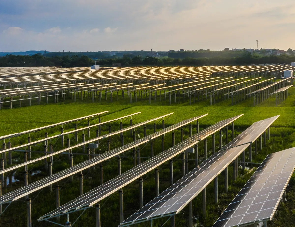 Copertina articolo Agrivoltaico